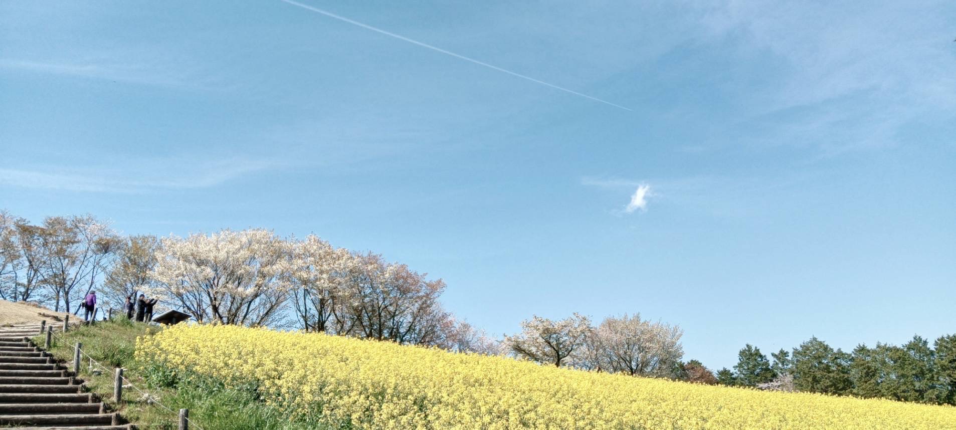 メインビジュアル1